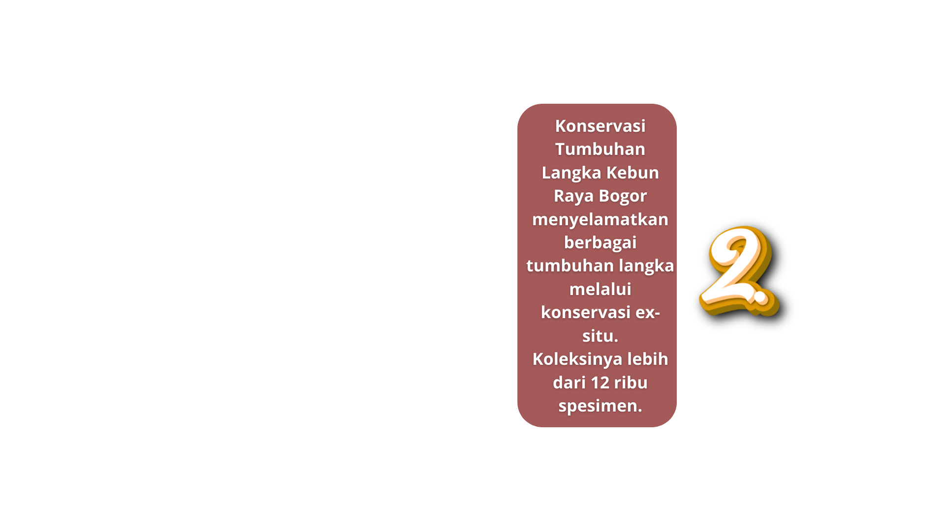 Konservasi